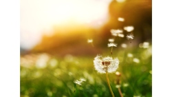 Fundraising Page Image